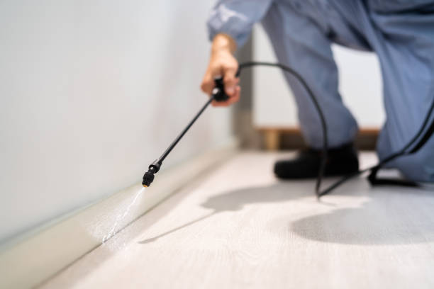 Licensed Pest Control service in Wrightsville, GA - Show Me Pest Control