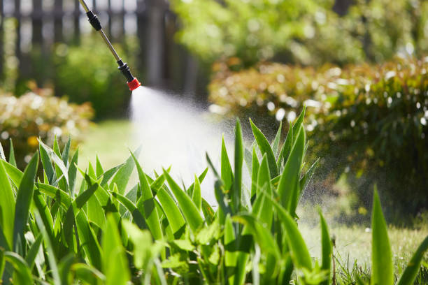 24/7 Emergency Mosquito Control experts in Wrightsville, GA