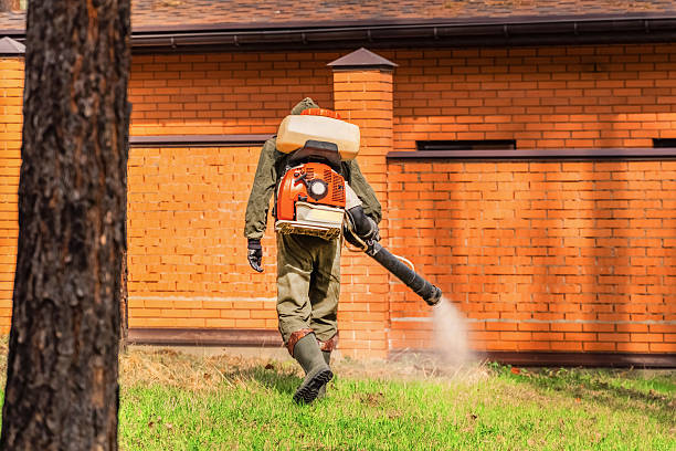 Top rated local Mosquito Control specialists in Wrightsville, GA